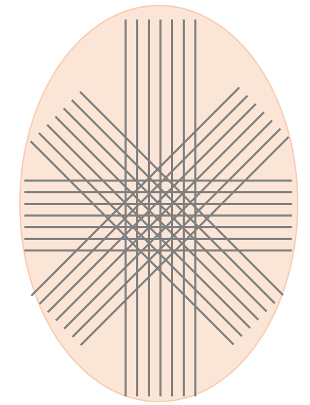 Muskelfasern im Bauchraum