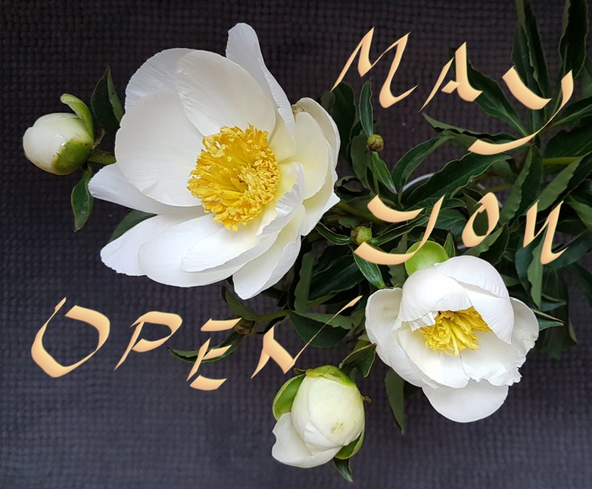 May you open
