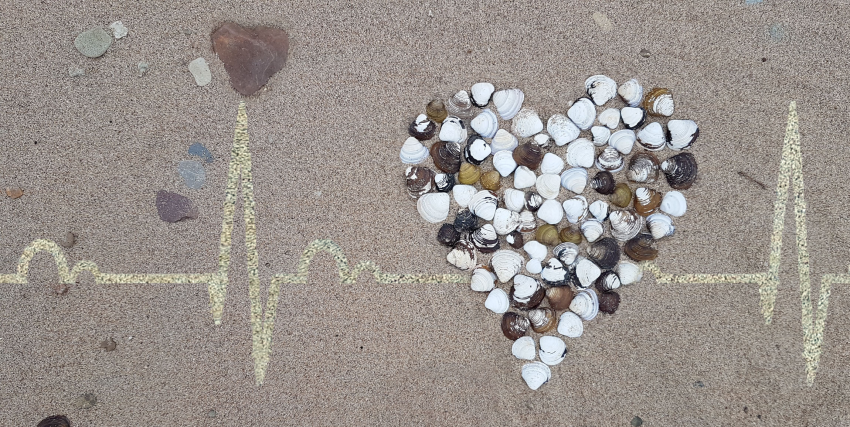Heartbeat